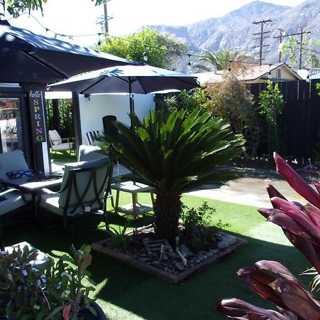 Updated Dwntwn 2Bd Twnhse W/Hot Tub& Private Patio Palm Springs Extérieur photo